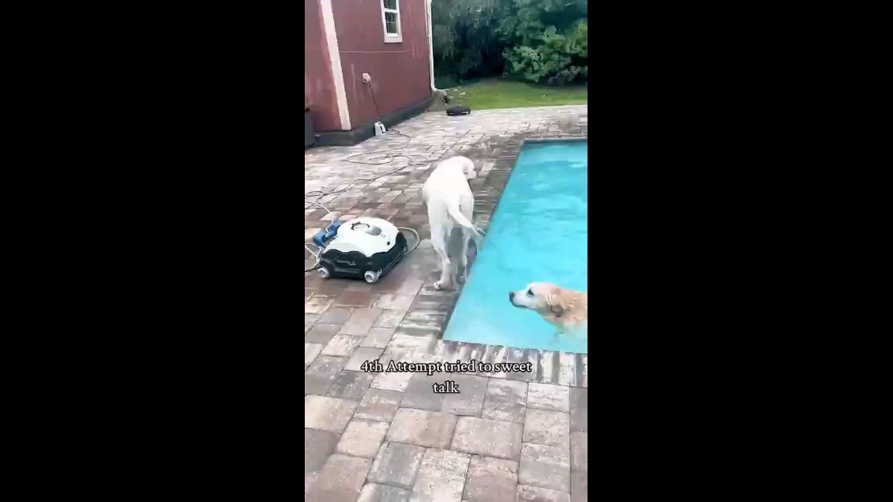 it's like having a toddler