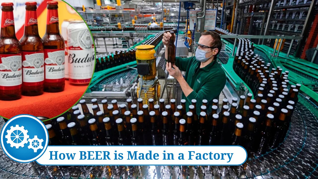 How BEER is Made in a Factory