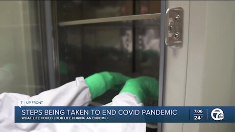 Transitioning from the pandemic to our new normal