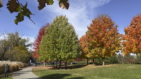 James Gardens Toronto beautiful fall colors