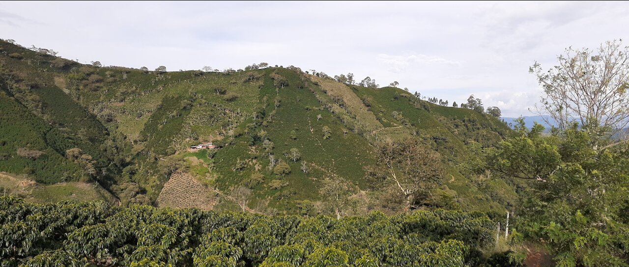 Cordillera Antioqueña, Colombia