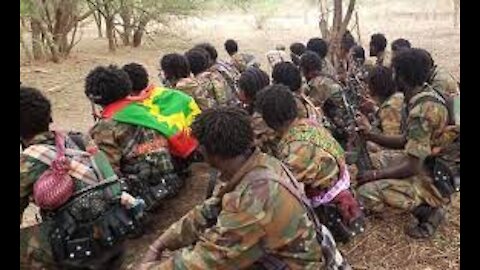 ህወሓት የኦነግ ሸኔን ታጣቂ ወደ መቀሌ ይዞ ላለመግባት በመንገድ ላይ ረሽኗቸዋል
