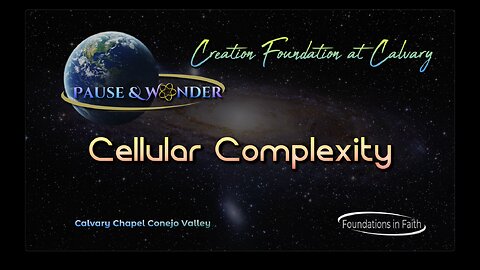 Study 1 - Pause & Wonder "Cellular Complexity"