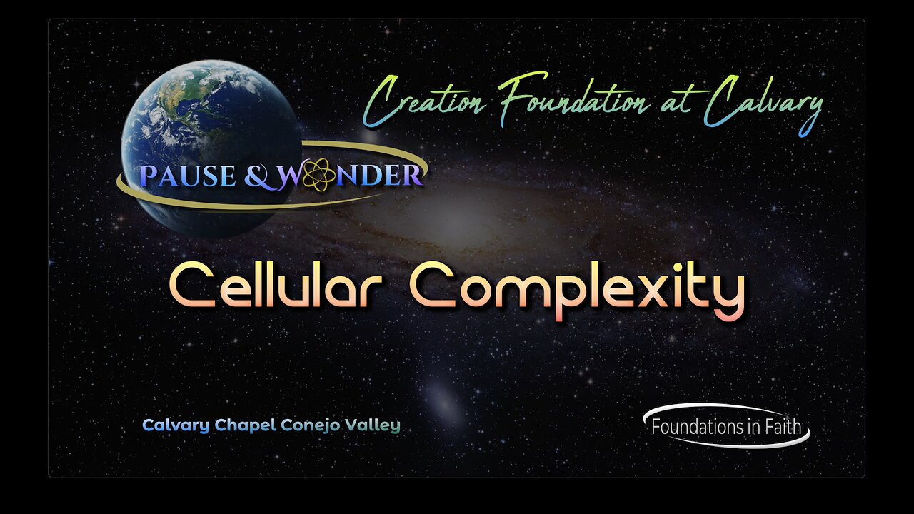 Study 1 - Pause & Wonder "Cellular Complexity"