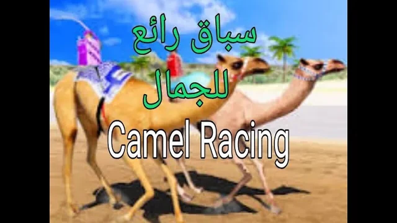 سباق مع جمال 🥰💕💯 Camel Race