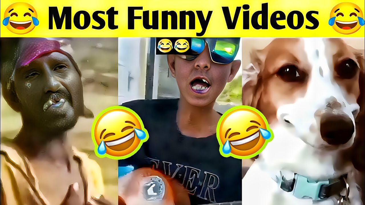 Most Funny Videos😂🤣 || Funny Video || Comedy Video || Meme | Memes | Funny Videos/Comedy Videos #03