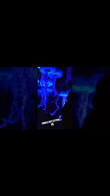 Let's Be Honest Jellyfish Are Creepy