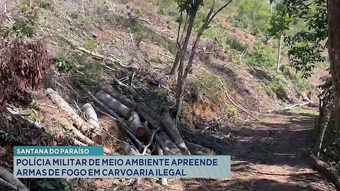 Santana do Paraíso: Polícia Militar de Meio Ambiente Apreende Armas de Fogo em Carvoaria Ilegal.