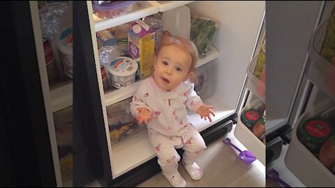 Funny Moments - Baby Open The Fridge