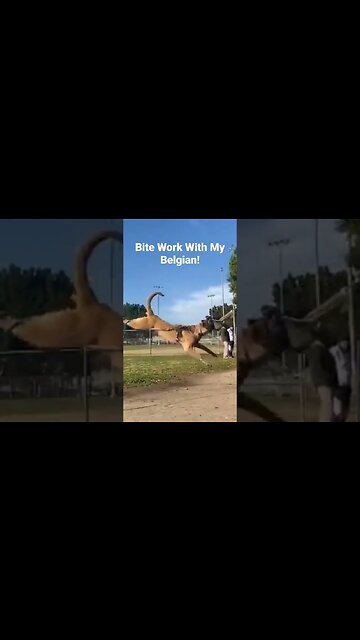 Bite Work Slight Work!