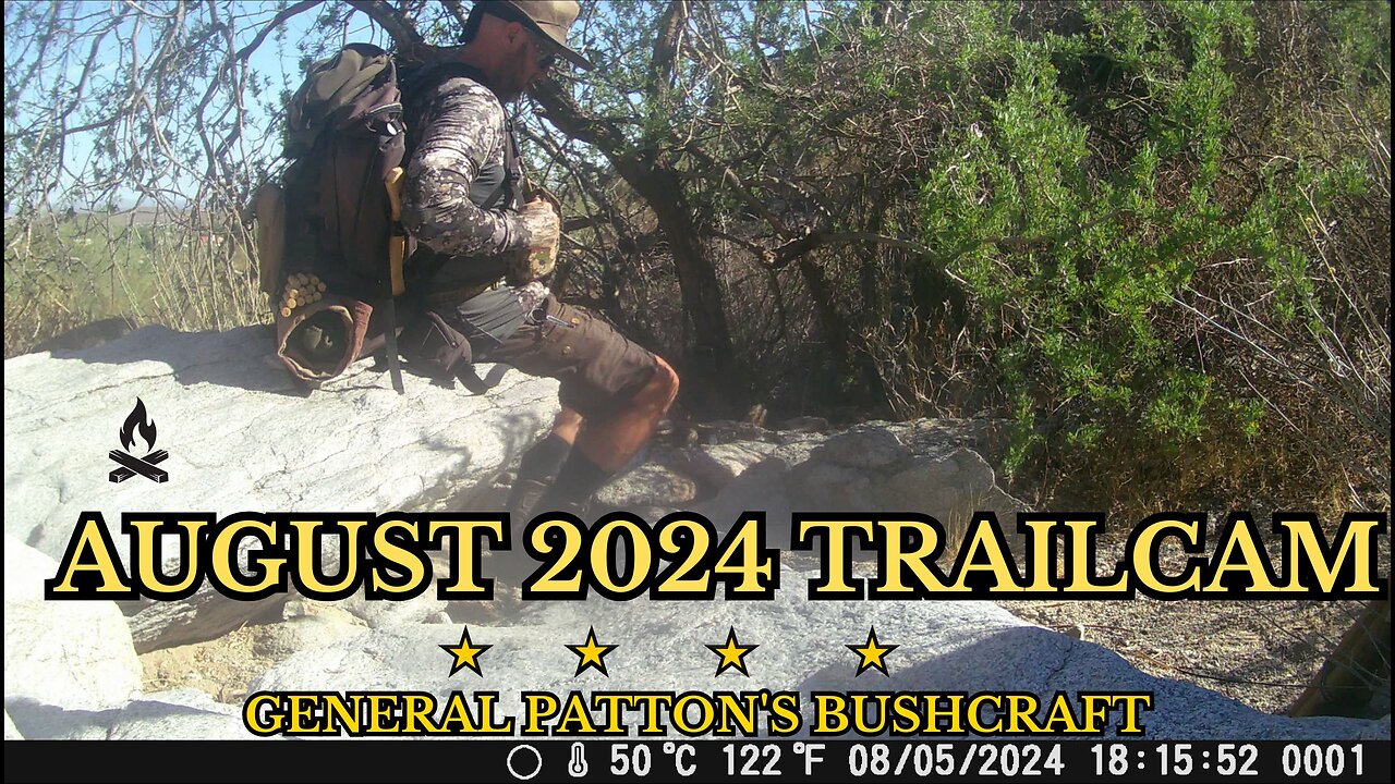 AUGUST 2024 TRAILCAM FOOTAGE