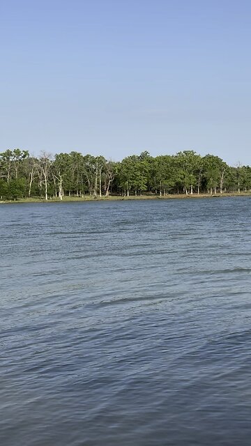 A View From The Banks Of Lake Ray Roberts State Park