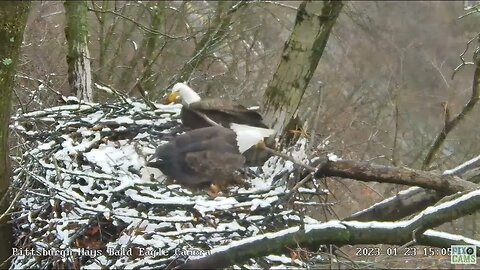 Hays Eagles Mom and Dad Ring around and over goes the Stick 2023 01 23 1505