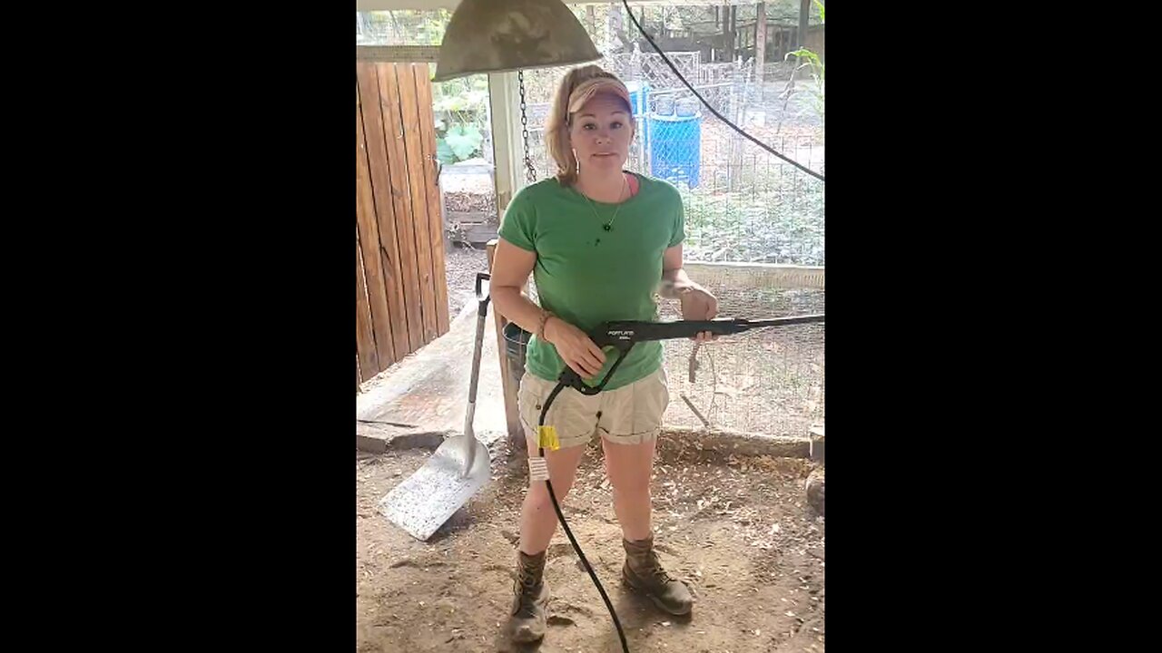 Chicken Coop Makeover Day