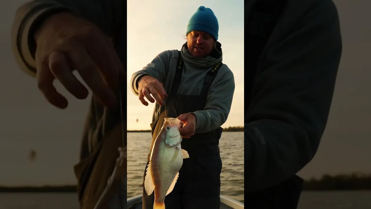 Massive 3 POUND CRAPPIE Cast-To-Catch with Josh Jones