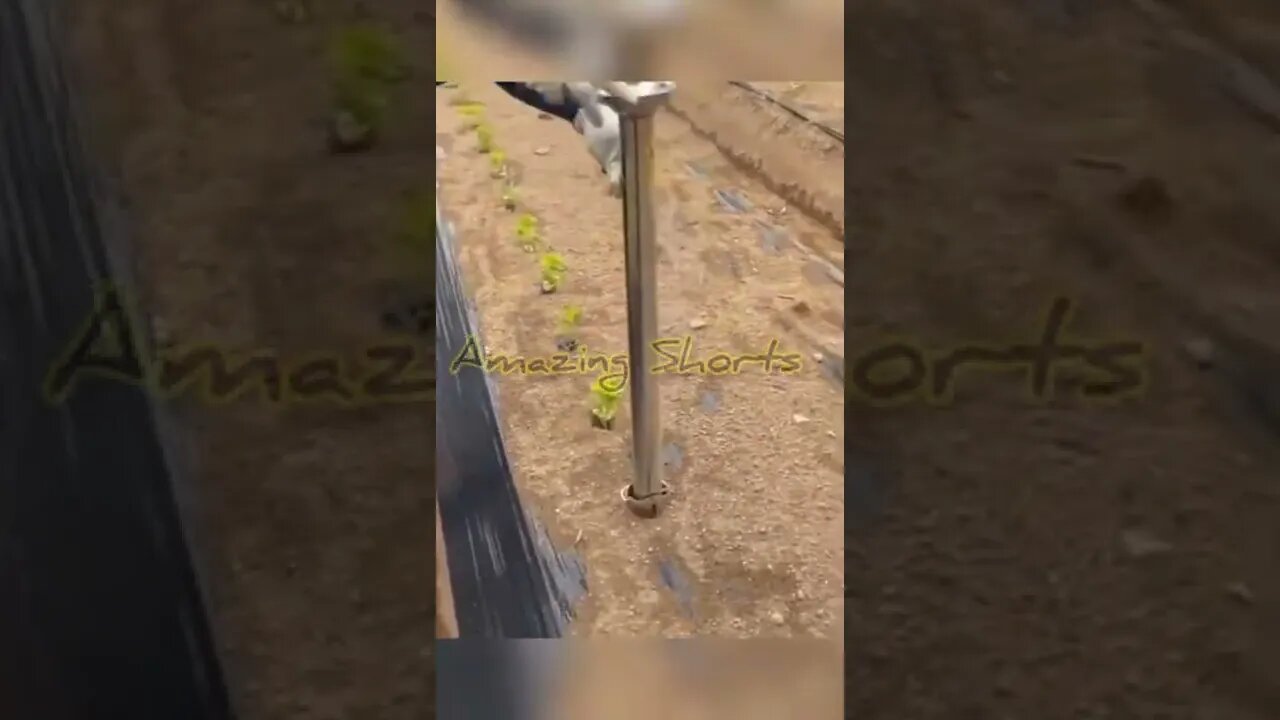 Amazing Supersonic Method To Plant Trees #short #amazingshorts #shorts