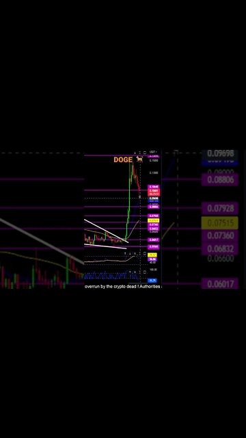 DOGE support to hold and watch! 🐕💎🙌