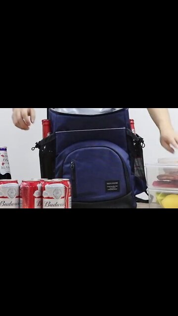 Portable Thermal Bag Container