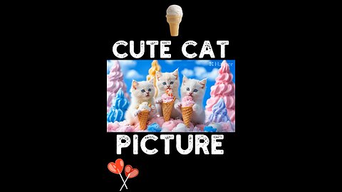 Cute Cat Picture