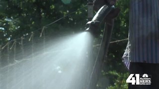 Local gardeners work through winter