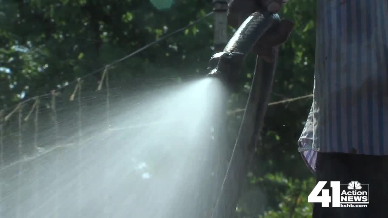 Local gardeners work through winter