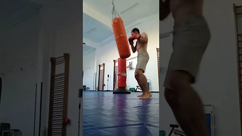 Kick, Punch, Elbow And Knee The Bag (43)