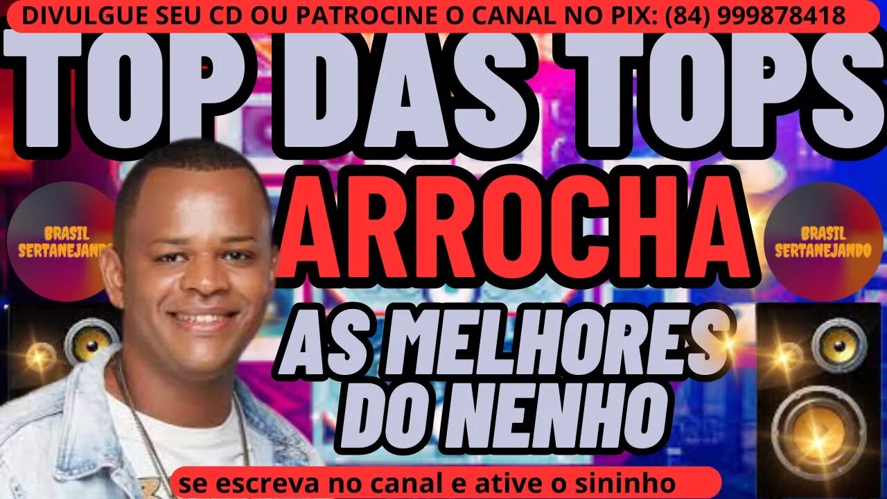 TOP DAS TOPS DO ARROCHA 2023 AS MELHORES DO ARROCHA COM NENHO 2023