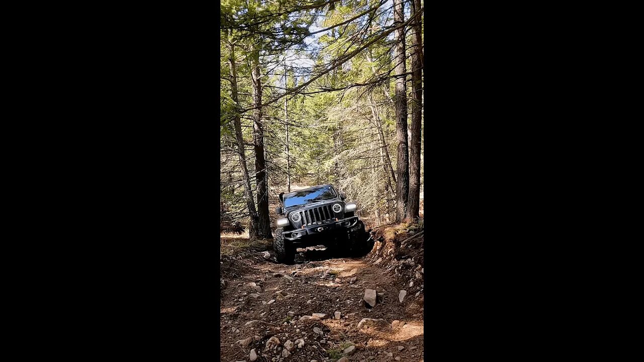 JEEP GLADIATOR OFFROADING IN BC // #shorts
