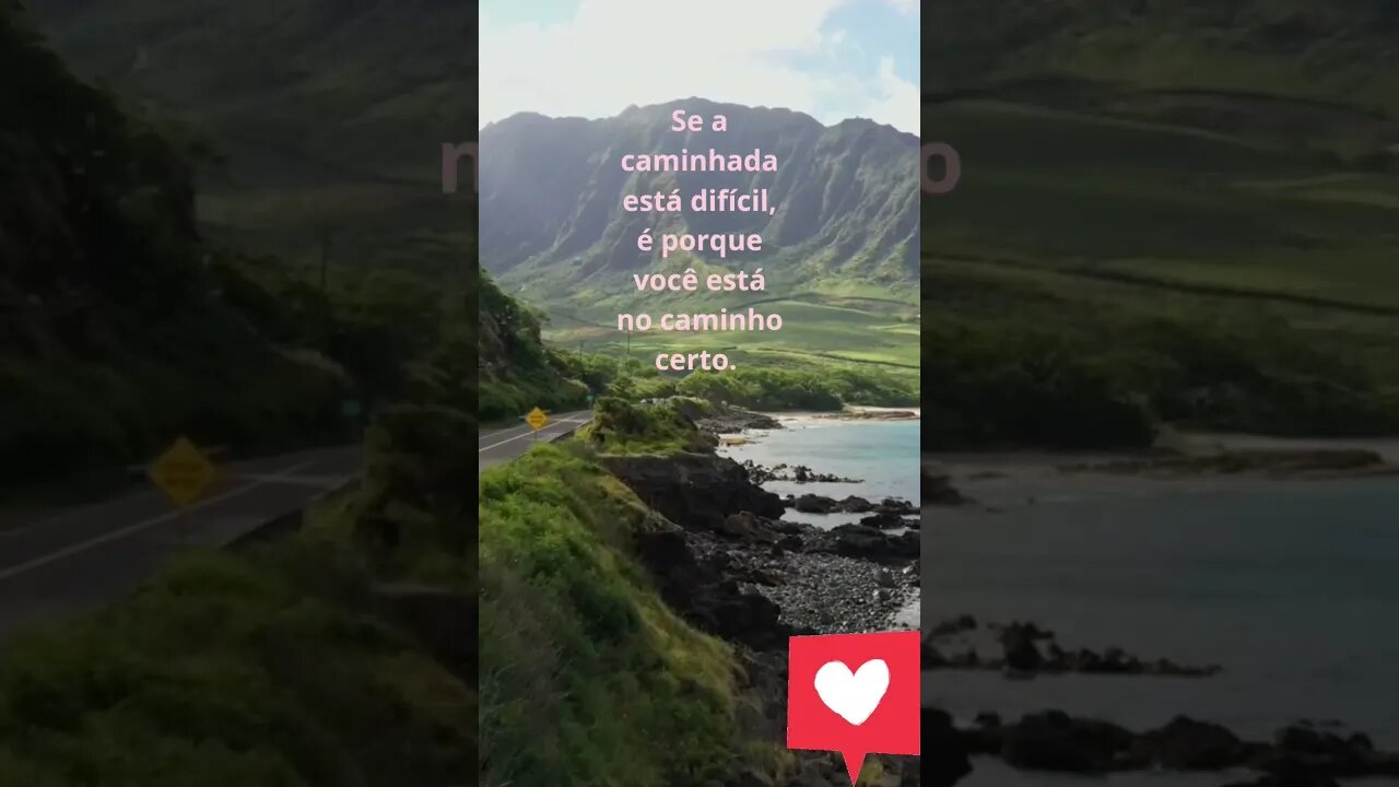 #shorts #naovouparar #gratidao