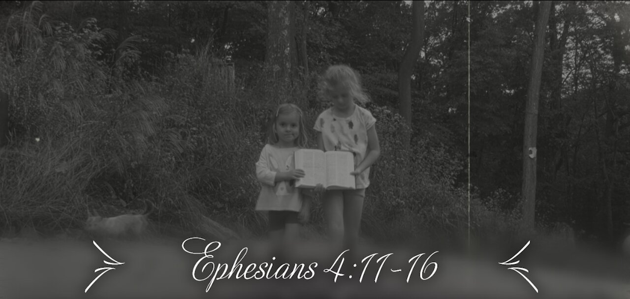 Ephesians 4 for kids, he is the vine we are the branches, silent movie, 4k, Bible for kids