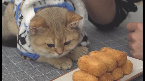 Fried Milk Melt in Your Mouth