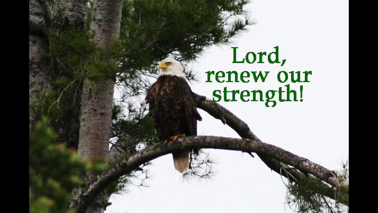 Our Strength And Redeemer