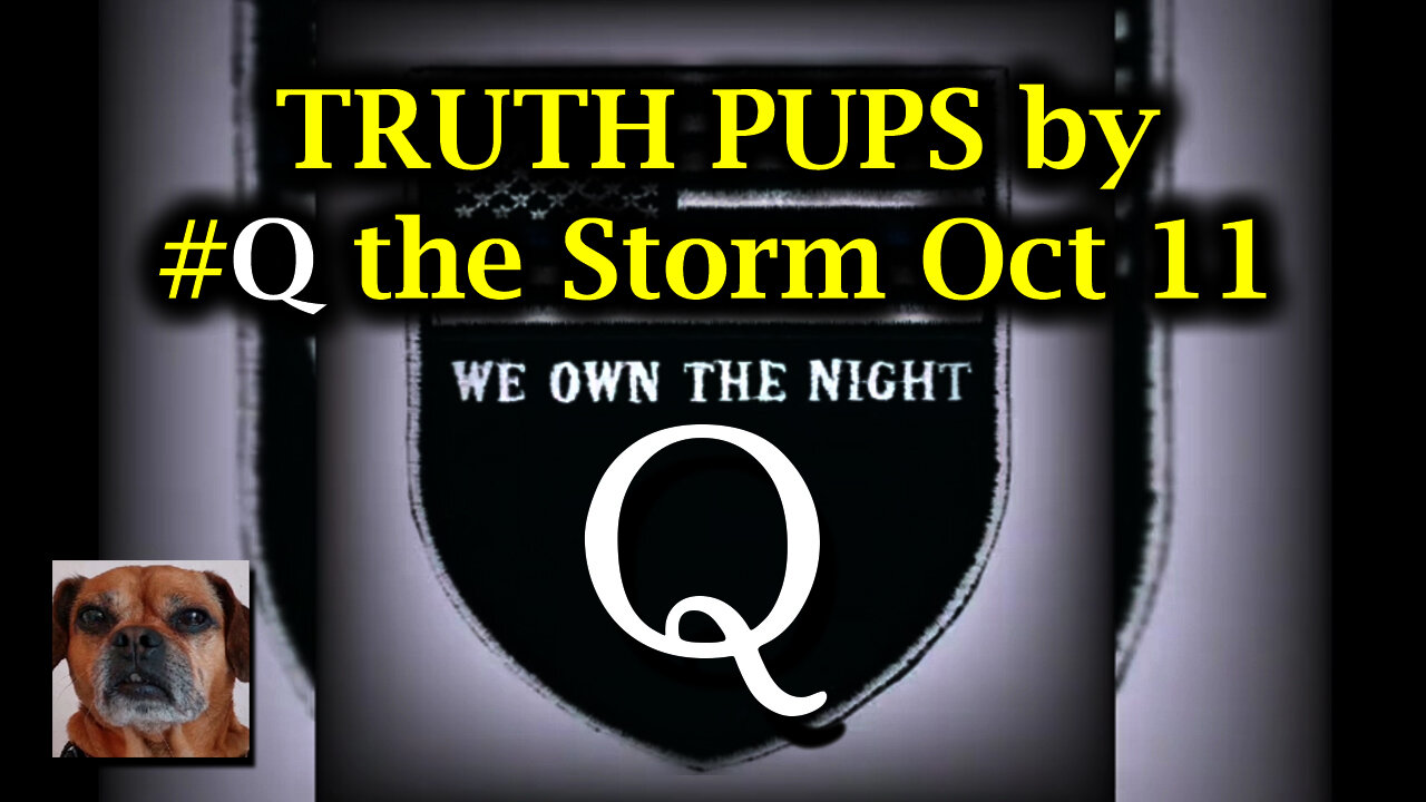 TRUTH PUPS by #Q the Storm Oct 11