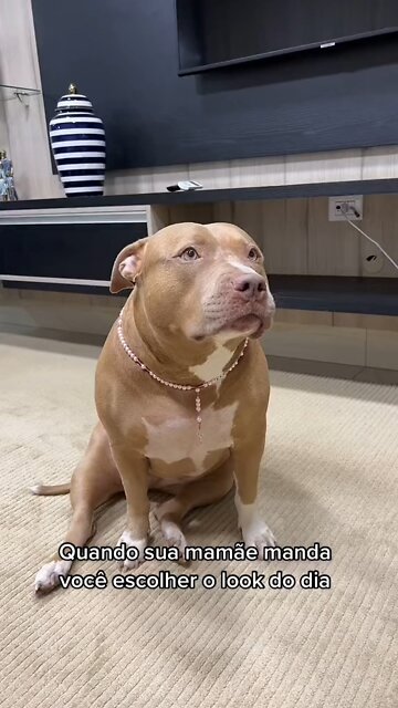 when mom asks you to choose clothes for today