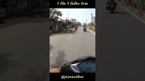 save trees #shorts #motovlog #jaswantboo