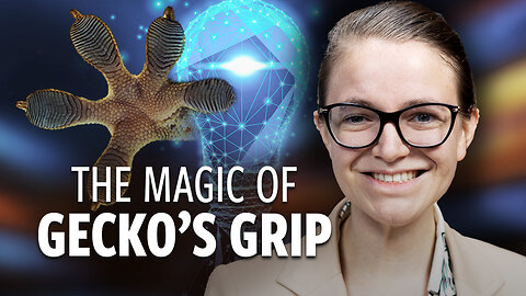 How Gecko Feet Inspired a PhD Student to Transform Manufacturing