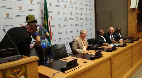 SOUTH AFRICA - Cape Town - Minister Rob Davies announces the appointment of New Bricks Business Council.(Video) (xNk)