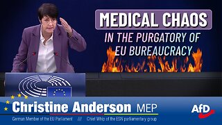 Medical Chaos - In the Purgatory of EU-bureaucracy