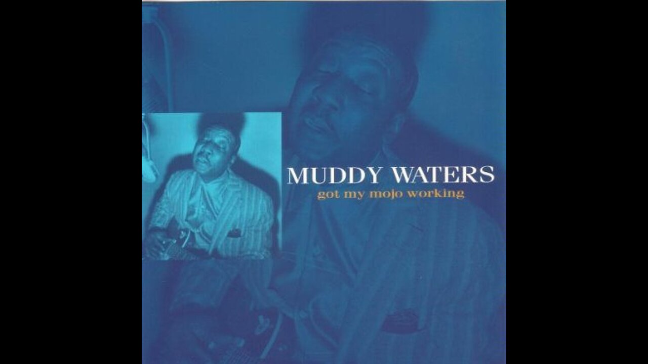 Muddy Waters - Got My Mojo Working (LIVE)