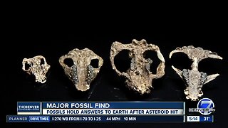 Fossils found in Colorado Springs hold answers to Earth’s rebound from asteroid strike