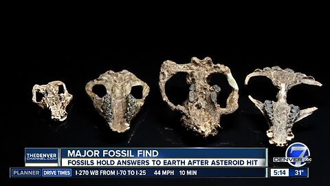 Fossils found in Colorado Springs hold answers to Earth’s rebound from asteroid strike