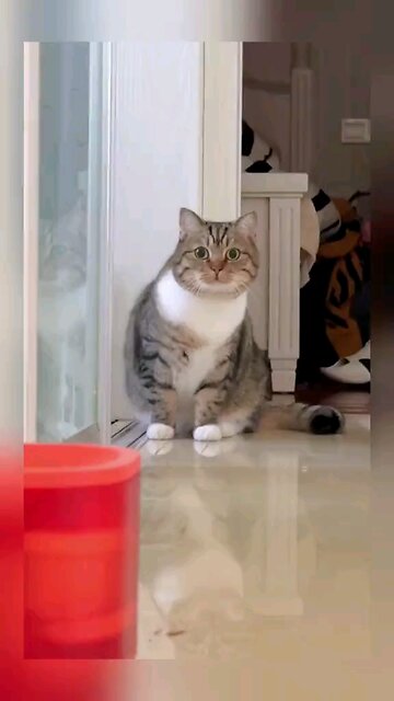 What?Mom Actually Started