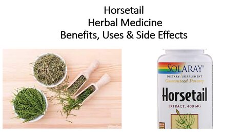 Horsetail Herbal Medicine Benefits, Uses & Side Effects