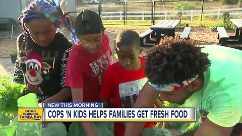 Community garden helps Tarpon Springs kids grow by teaching life lessons