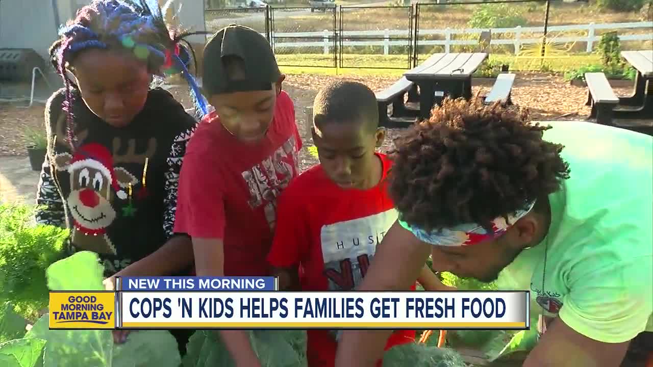 Community garden helps Tarpon Springs kids grow by teaching life lessons