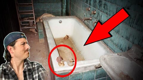 Top 3 photos with DISTURBING backstories - Part 10