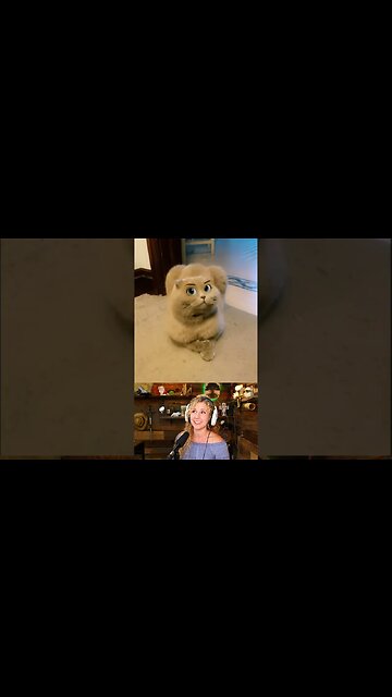 Kristen Does Sound #shorts