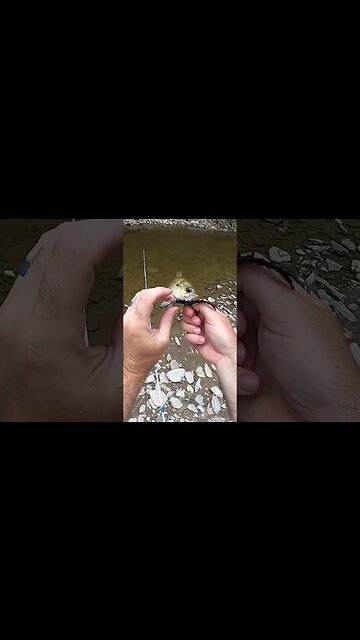 Switching baits after EVERY catch PART 7!