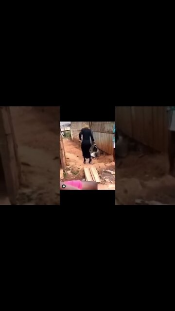 На Лабутенах)))) #shorts On the Louboutins))))