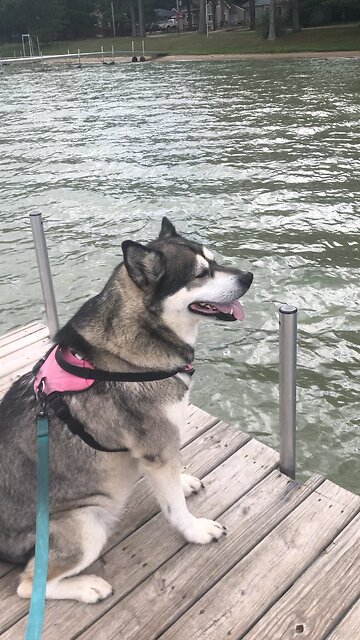 Sunday Sept 8, Praise the Lord